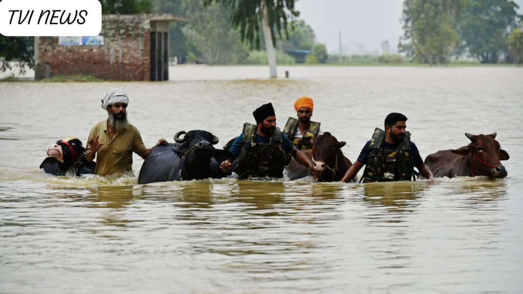 Punjab-floods