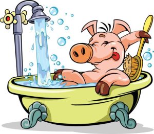 bathtub