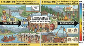 Disaster management cycle